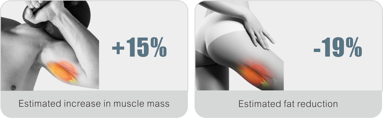 ems principle principe ems